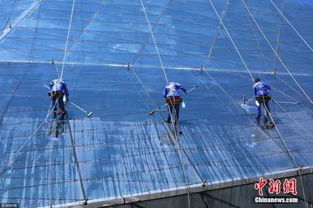 反转刷爆朋友圈的三亚工人遭割绳真相 原来是高空爆破作业